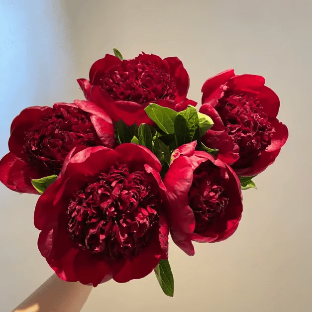 791241a5cdeb44f3a6d9204fa80076cbb3821867